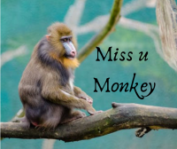 miss u monkey images for close friends