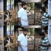 una kattave illada comment photos for facebook