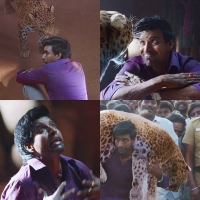 Seema raja plain meme template free download