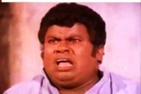 aiyoo peii facebook comment photo meme template