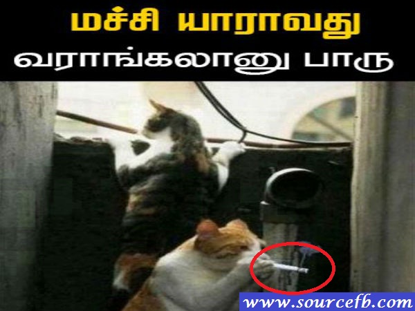 Crazy Facebook Comments 