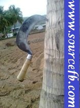 Terror Facebook Comment photo