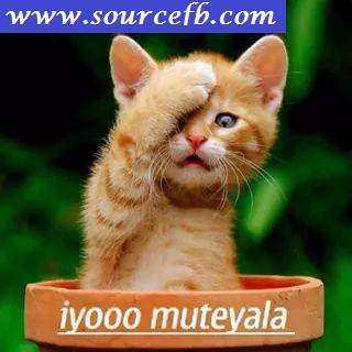 Ayyo Mudiyala fb comment photo