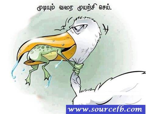 Self Confident Quotes