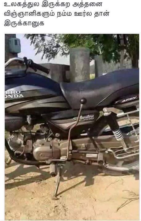 All scientist are in our Country