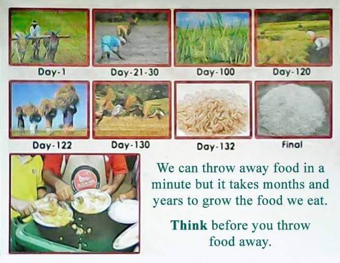 Processing of Rice production