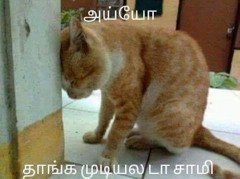 Ayyo Thanga mudiyalada Samy