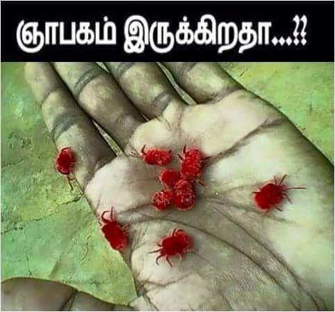 Child age memories in Tamilnadu